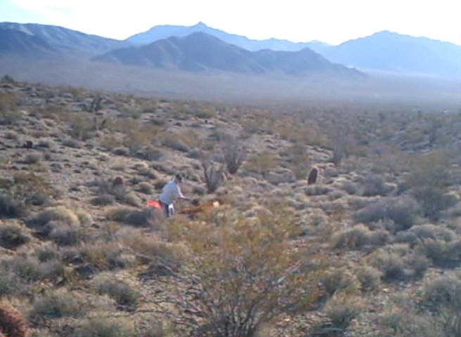 Gold Prospecting